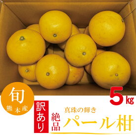 訳あり パール柑 みかん 柑橘類 期間限定 数量限定 産地直送 人気商品 フルーツギフト 果物ギフト 熊本産 5キロ入 【送料無料】