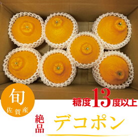 厳選デコポン みかん 柑橘類 期間限定 数量限定 産地直送 人気商品 フルーツギフト 甘い 果物ギフト 高級果物 佐賀産 【送料無料】