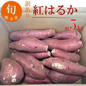 󂠂g͂邩 ܈ 5L Ԍ ʌ Yn Â lCi Ă F{Y yz
