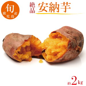 [ 2kg Y Ԍ ʌ Â lCi Ă  Mtg yz