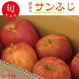 訳あり サンふじ 約5kg 期間限定 数量限定 産地直送 フルーツ 果物 青森県産 家庭用 業務用【送料無料】