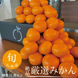 厳選みかん 最上級ブランドみかん 期間限定 数量限定 産地直送 甘い 人気商品 フルーツギフト 果物ギフト 贈答品 お歳暮 お年賀 ギフト 九州産 長崎産 福岡産 佐賀産 5キロ入 【送料無料】