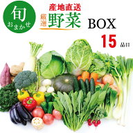 野菜セット 野菜 詰め合わせ 野菜BOX 旬 厳選 ギフト お中元 敬老の日 食材 新鮮 産地直送 人気商品 九州…