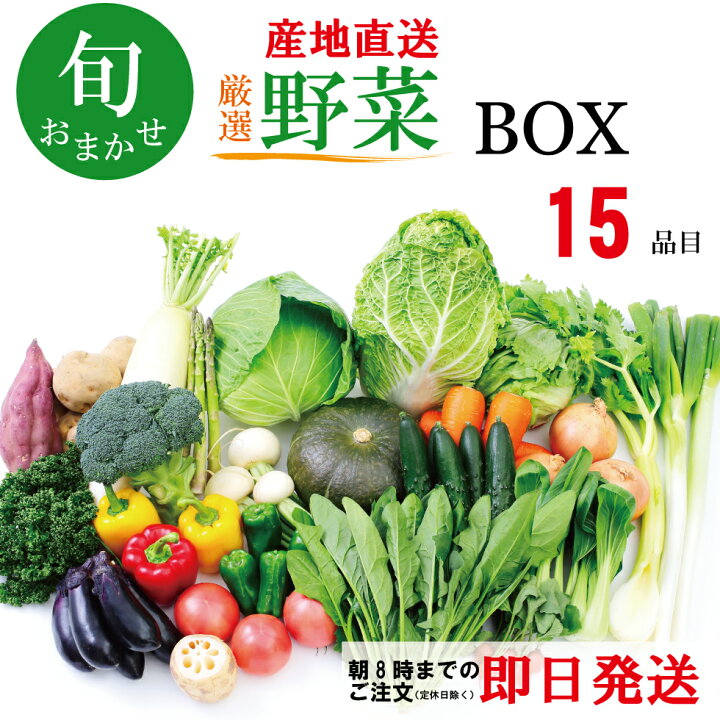 楽天市場 野菜セット 野菜 詰め合わせ 野菜box 旬 厳選 ギフト お中元 敬老の日 食材 新鮮 産地直送 人気商品 九州産 国産 お取り寄せ グルメ 季節 15品 野菜詰合わせ おまかせ 送料無料 Hokibox