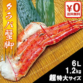 ★ 蟹 ★特大 タラバ蟹脚 特6Lサイズ1.2kg超 北海道 蟹 ギフト たらば 肩 ボイル 贈り物 ズワイ 海産物 お土産 二条市場 お歳暮 お中元