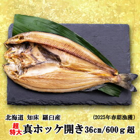 超特大 北海道釧路産 肉厚真ホッケ開き600g超 ホッケ 開き干し 干物 バーベキュー BBQ ギフト 贈り物