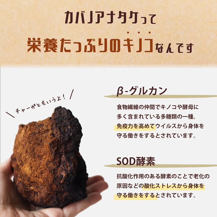 楽天市場】＼エントリー必須！4/1～抽選で100％ポイントバック 