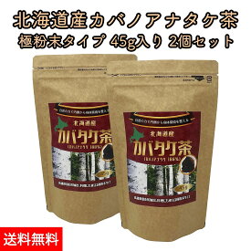 北海道産 カバノアナタケ茶 チャーガ茶 カバタケ茶 極粉末45g 2袋 天然 カバノアナタケ 100%使用 ティーバッグ付き 国産 無添加 えぞボタニカル 送料無料 メール便でお届け チャガ茶 樺孔茸茶 健康茶 キノコ茶