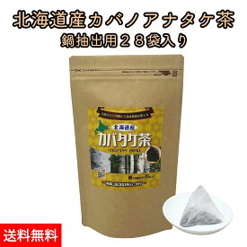 北海道産 カバノアナタケ茶 チャーガ茶 カバタケ茶 鍋で抽出用 ティーバッグ28包入り 天然 カバノアナタケ 100%使用 国産 無添加 えぞボタニカル 送料無料 メール便でお届け チャガ茶 樺孔茸茶 健康茶 キノコ茶