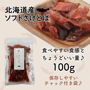 kCY Ƃ VR 疳 炩 Ƃ 100g H 100%gp Y  [ւł͂  ̂ ܂  Ɩp _CGbg qɂ