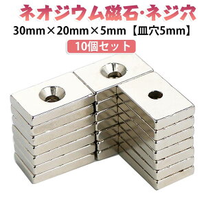 ������ N35 ������ 30mm×20mm×5mm �M��5mm �����` �l�W�� �p�^ ���� ������ 10�Z�b�g �l�I�W�E������ �l�I�W������ �i�v���� DIY �I�t�B�X �}�O�l�b�g ���z �l�I�W�E������ �l�I�W������ ���t�� 