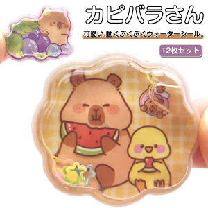 12Zbg Jso ՂV[ fR EH[^[V[ ՂՂV[ V[ hV[ VJVJV[ fRV[ XpR[ V[ 12Zbg 蒠 m