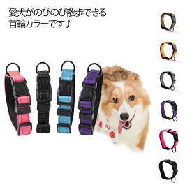 犬のリード 首輪 ナイロン 紐 用品 シンプル 犬 軽量 おしゃれ カラー 犬 グッズ ペット 犬の首輪 大型犬 犬用品 カラフル 可愛い ペット用品 ペット 小型犬 中型犬