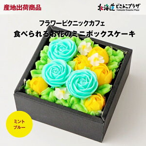 Ynoׁu{bNXt[P[L ~ji~gu[jvⓀ  kC P[L o^[N[ v[g f  lCX