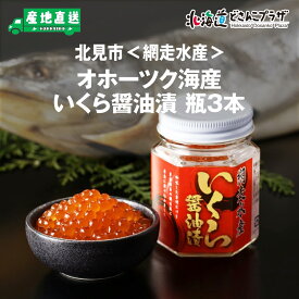 産地出荷「北見市 網走水産 オホーツク海産いくら醤油漬 瓶入り3本」冷凍 送料込 北海道 道東 魚卵 イクラ