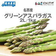 産地出荷「名寄産グリーンアスパラガス 2L/1kg」冷蔵 送料込 5/15まで販売 北海道 道北 JA道北なよろ 産…