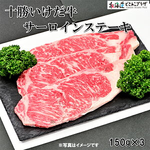 Ynoׁu\ T[C150g×3ZbgvⓀ  kC T[CXe[L r[t  ґ      Xe[L 蕨 uh O