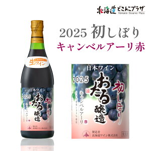 Џoׁu2025ڂLxA[  Ìv퉷  kCC ԃC    MC M 񂹃O kCO n Mtg