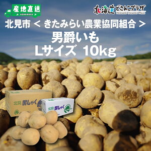 Ynoׁuks@JA݂炢 j݂10kgiLTCYjv퉷  kC Ⴊ _Yi WKC |eg  VႪ VWK