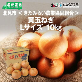 産地出荷「北見市　JAきたみらい 黄玉ねぎ10kg（Lサイズ）」常温 送料込 北海道 玉ねぎ 農産品 たまねぎ タマネギ きたみ 新たま オニオン