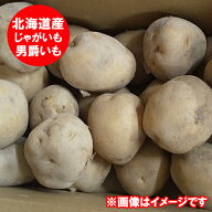 最短発送中 じゃがいも 男爵いも 送料無料 だんしゃくいも 2kg Lサイズ 北海道 ジャガイモ 野菜