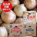 随時発送中 北海道 玉ねぎ 20kg 送料無料 たまねぎ 20kg Mサイズ 玉ねぎ 箱 共撰 タマネギ 野菜 たまねぎ 北海道産 富良野 もしくは 北見F1 もしくは 名寄 玉葱