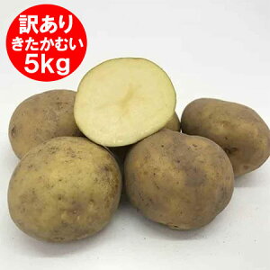  󂠂 kC Ⴊ ނ kCY Ⴊ 5kg L^JC M2LTCY Ⴊ  WKC 킯