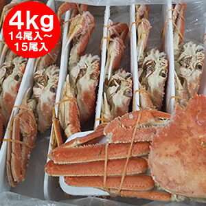 カニ ズワイガニ 4kg」の人気商品一覧 | 安い商品を通販サイトから探す 