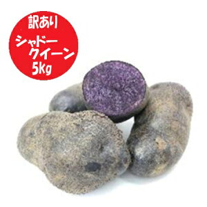 �󂠂� �k�C�� ���Ⴊ���� �V���h�[�N�C�[�� �k�C���Y ���Ⴊ���� 5kg S�T�C�Y �k�C�� ���Ⴊ���� ��� �W���K�C�� �V���h�[�N�C�[�� �t���C�h�|�e�g �|�e�g�`�b�v�X �ɂ������� �C���X�^�f