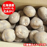 最短発送中 じゃがいも 北あかり 送料無料 キタアカリ 2kg Lサイズ 北海道 ジャガイモ 野菜 きたあかり