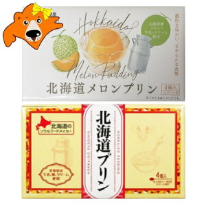 v  kC v / kC  v e1 v2 vMtg xHi v 퉷 XC[c mَq t[c ʕ ߂ Ղ