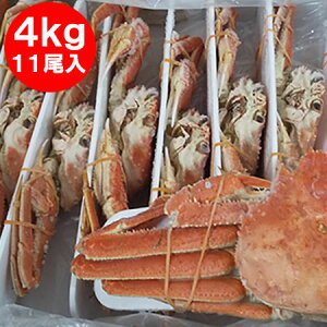 �k�C�� �I�I�Y���C�K�j �{�C�� ���� �p �������� �I�I�@�Y���C�K�j �p 11������ �Y���C�K�j�p ���v4kg�O�� �J�j �I ���� �k�C�� ����� ���Y���H�i �J�j ���킢