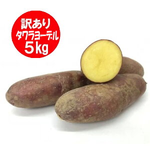 �󂠂� �k�C�� ���Ⴊ���� �^�������[�f�� �k�C���Y ���Ⴊ���� 5kg M����2L�T�C�Y �k�C�� �W���K�C�� ��� ���Ⴊ����