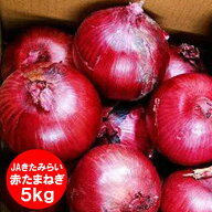 随時発送中 たまねぎ アーリーレッド 5kg Lサイズ 北海道 北見産 もしくは 富良野産 赤玉ねぎ 送料無料 …