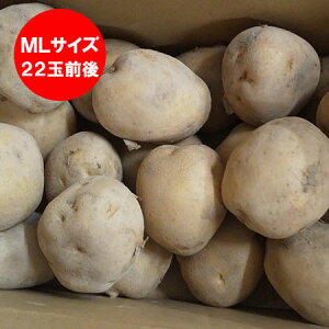  Ⴊ j݂  񂵂Ⴍ 2kg MLTCY kC WKC 