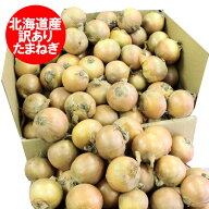 随時発送中 北海道 わけあり 玉ねぎ 送料無料 たまねぎ タマネギ 玉葱 20kg ( 20キロ ) Sサイズ たまねぎ…
