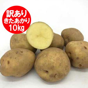  󂠂 k Ⴊ   10kg kC Ⴊ M2LTCY kC  L^AJ