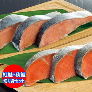 g؂g  H؂g Hה gؐg / Hؐg Zbg ϔ ׂɂႯ ؐg Ⴏ ؂g  Ⴏ  YHi TP