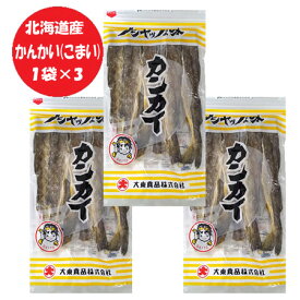 おつまみ 珍味 かんかい 送料無料 カンカイ 1袋×3 氷下魚 / こまい 北海道 最北端 宗谷 稚内 大東食品 おつまみ ちんみ