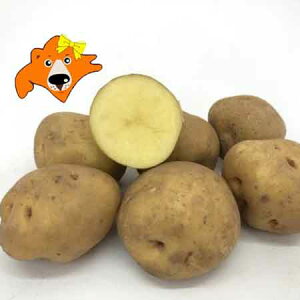  kC Ⴊ k   kCY Ⴊ 10kg L^AJ M2LTCY WKC  Ⴊ