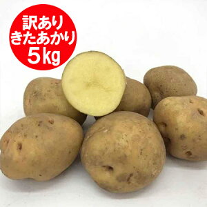  󂠂 k Ⴊ   5kg kC Ⴊ M2LTCY kC  L^AJ