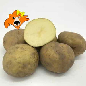  kC Ⴊ ނ kCY Ⴊ 10kg L^JC M2LTCY Ⴊ  WKC