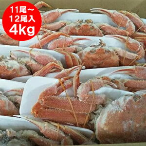 北海道産 オオズワイガニ ボイル かに 姿 送料無料 オオ ズワイガニ 姿 11尾 〜 12尾入り 合計4kg前後 カニ 蟹 かに 北海道 魚介類 水産加工品 カニ ずわい