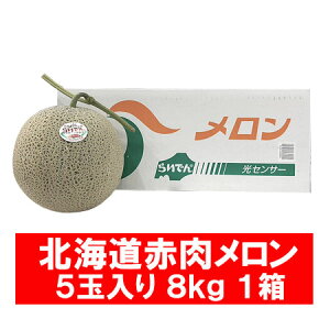 炢ł񃁃 ԓ  炢ł  8kg 5ʓ 1(1P[X)   Gi t[c  ʕ  JA傤