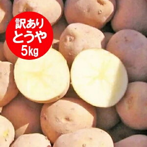  󂠂 Ⴊ 5kg Ƃ kC WKC |^[W J[ɍœK Ƃ MTCY2LTCY kCY WKC  Ⴊ 킯