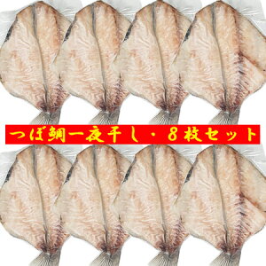 ڂ  ڑ  Y c{ J 1^×8Zbg  c{_C  c{_C 銱  YHi  Ђ