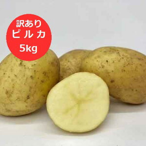 �󂠂� �k�C�� ���Ⴊ���� �s���J �k�C���Y ���Ⴊ���� 5kg M����2L�T�C�Y �k�C�� �W���K�C�� ��� ���Ⴊ����