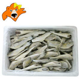 北海道産 こまい 送料無料 氷下魚 業務用 こまい 45尾～50尾入 Lサイズ 一夜干し コマイ 冷凍 魚介類 水産加工品 干物 こまい