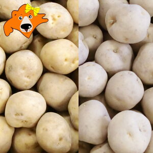  ؃Zbg j݂ 10kg   10kg v 20kg kC Ⴊ 񂵂Ⴍ k L^AJ  Zbg lߍ킹