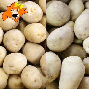  ؃Zbg  10kg  [NC 10kg v 20kg LTCY kC Ⴊ k / L^AJ [NC  Zbg lߍ킹